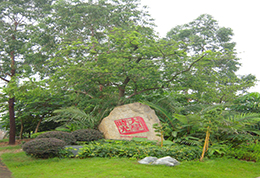 廣州 · 大學城大學時光